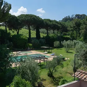Frascati , Grottaferrata Italië